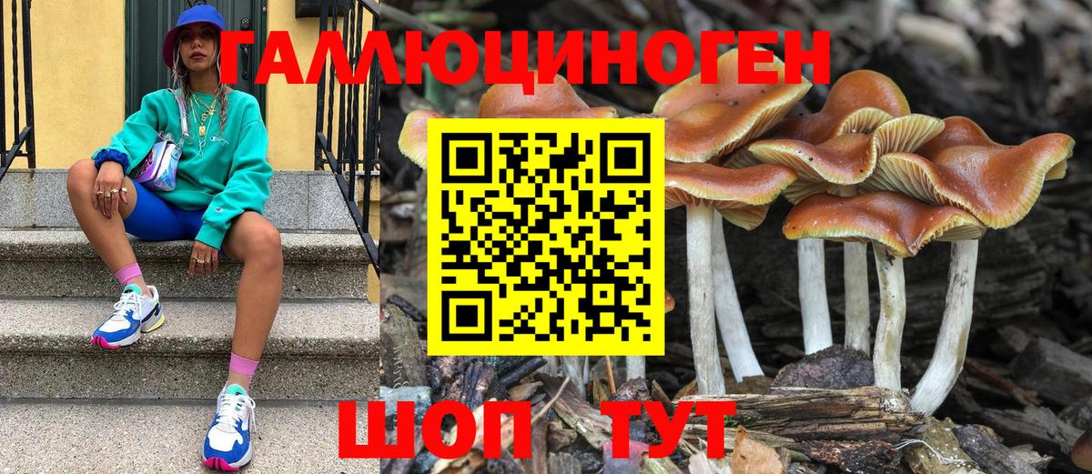 Псилоцибиновые грибы MAGIC MUSHROOMS Сатка