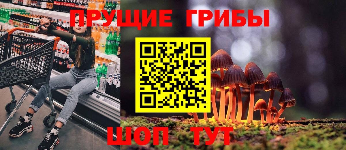 Псилоцибиновые грибы мицелий  Псилоцибиновые грибы MAGIC MUSHROOMS  Сатка  Вход с VPN 